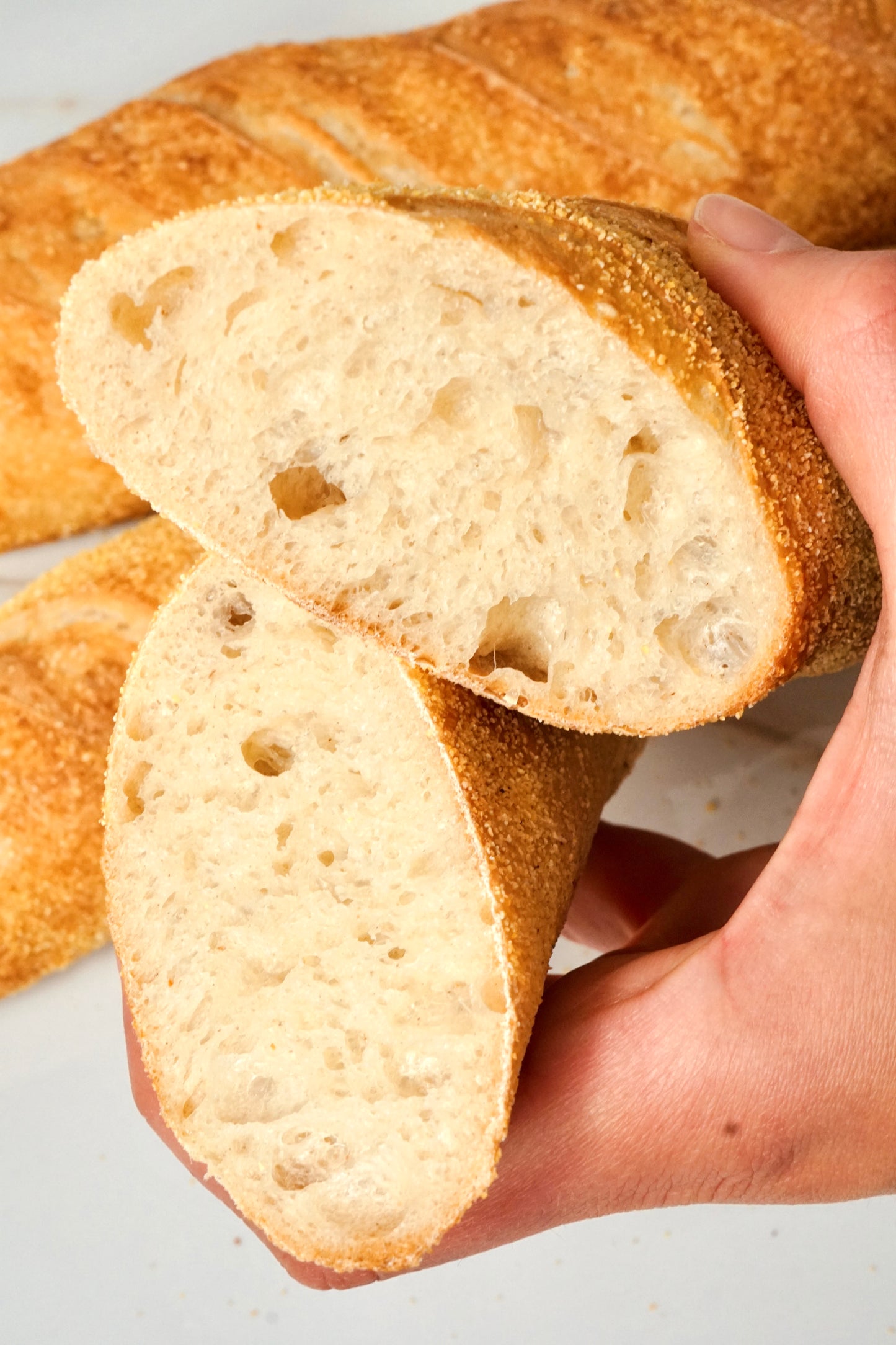 Baguette a lievito madre